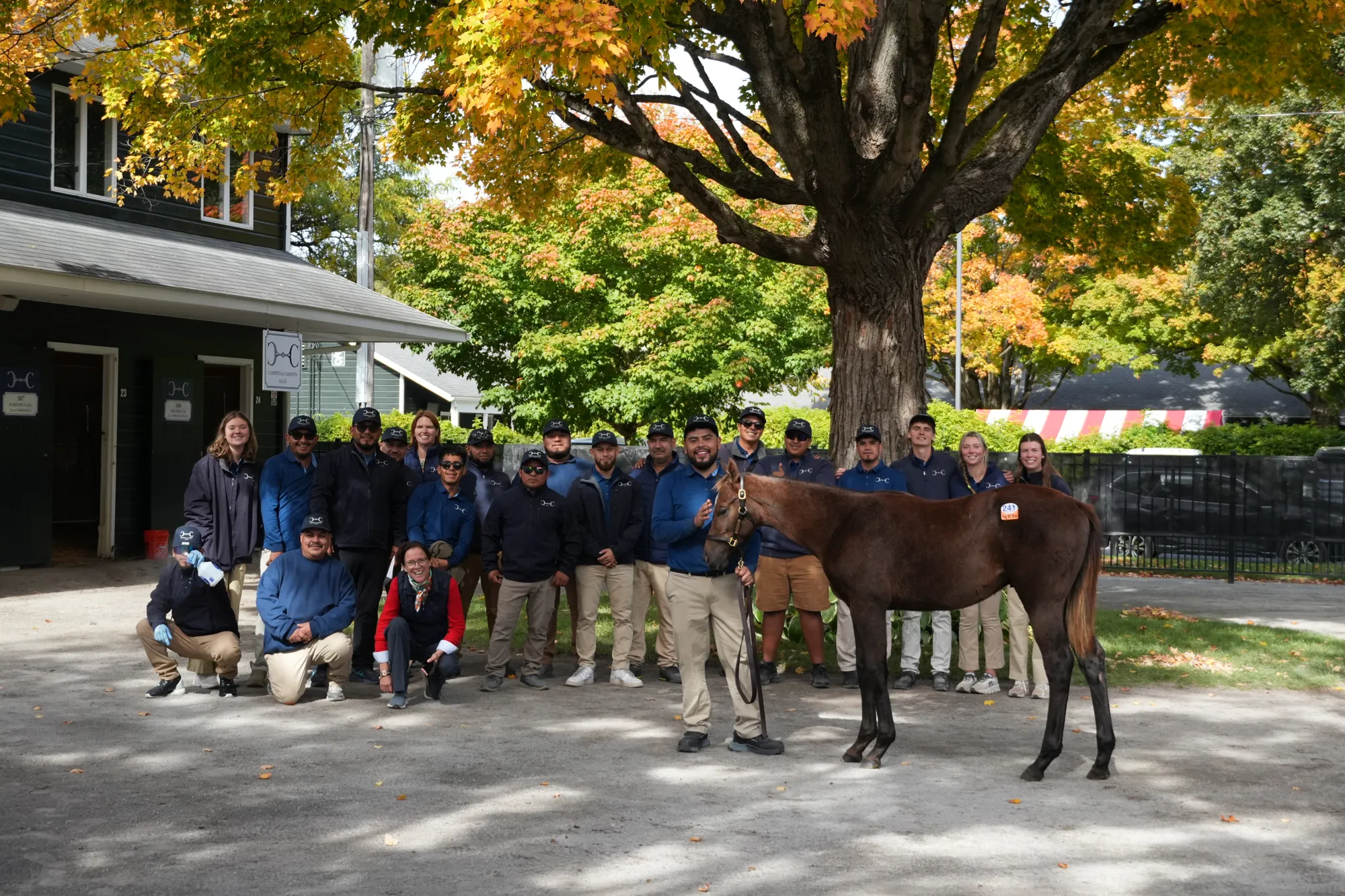 The Campion & Campion team gathered with a yearling under the trees at Saratoga