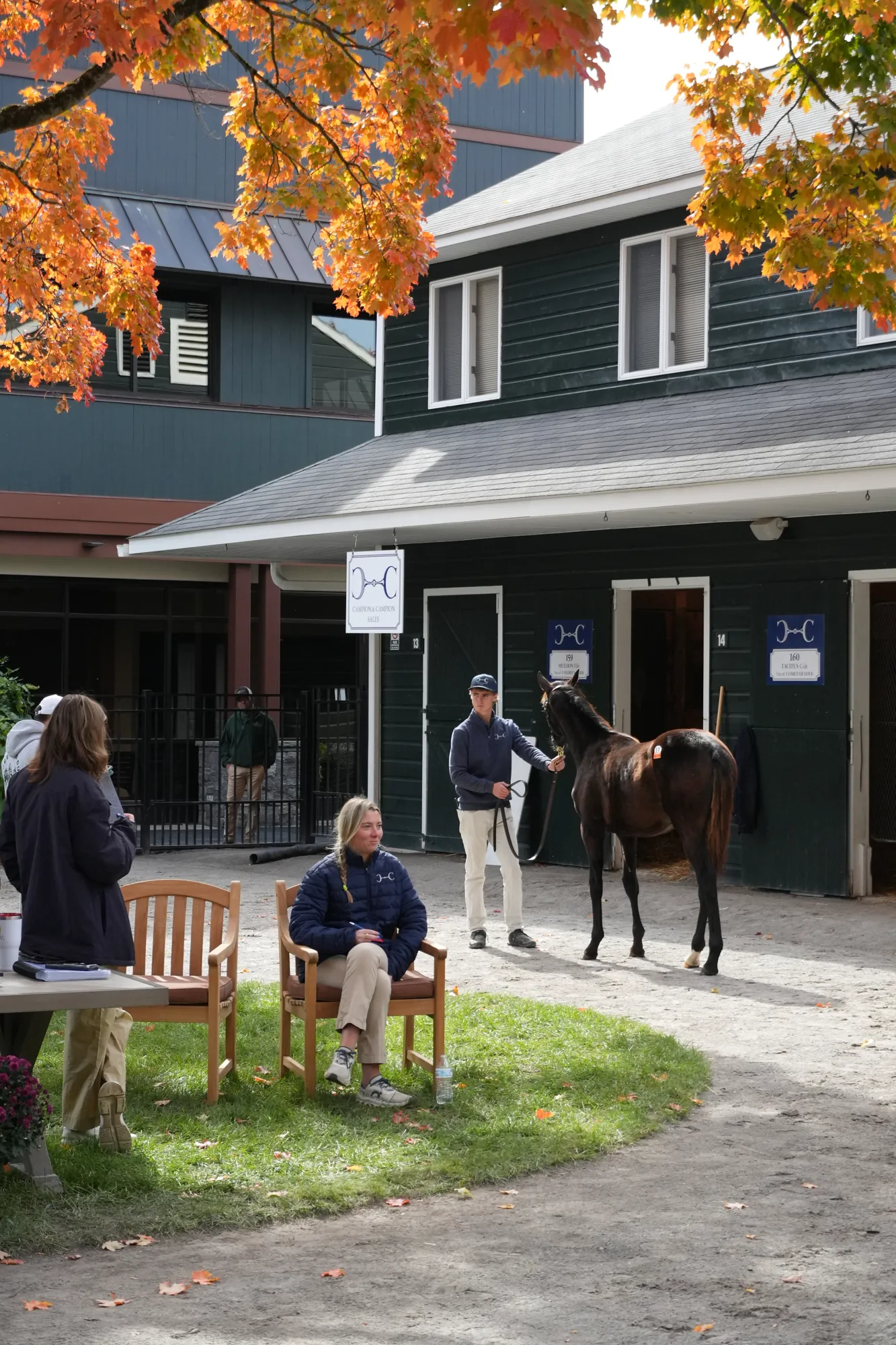 A foal and handler in front of the shedrow