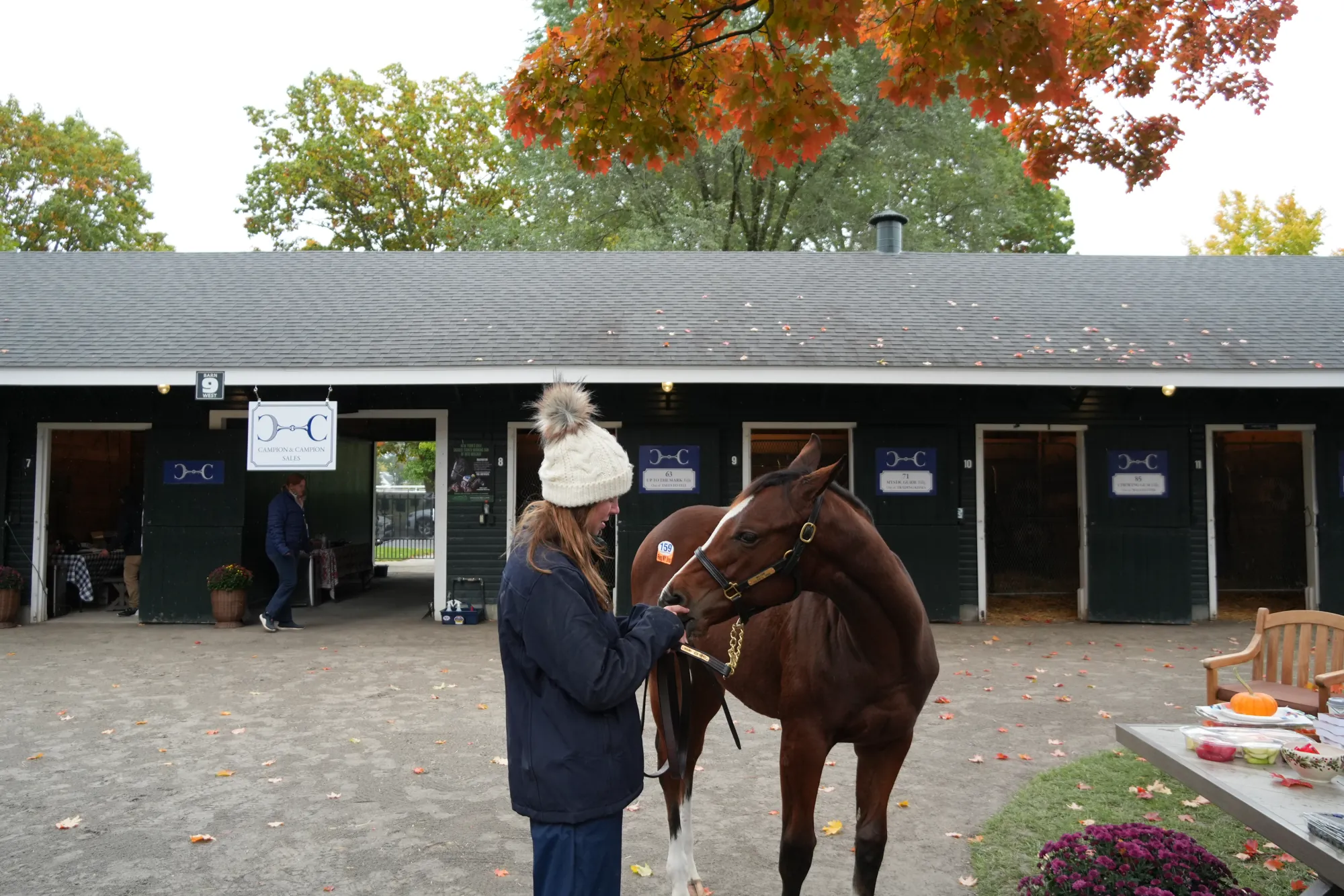 Checking a yearling in front of the barn