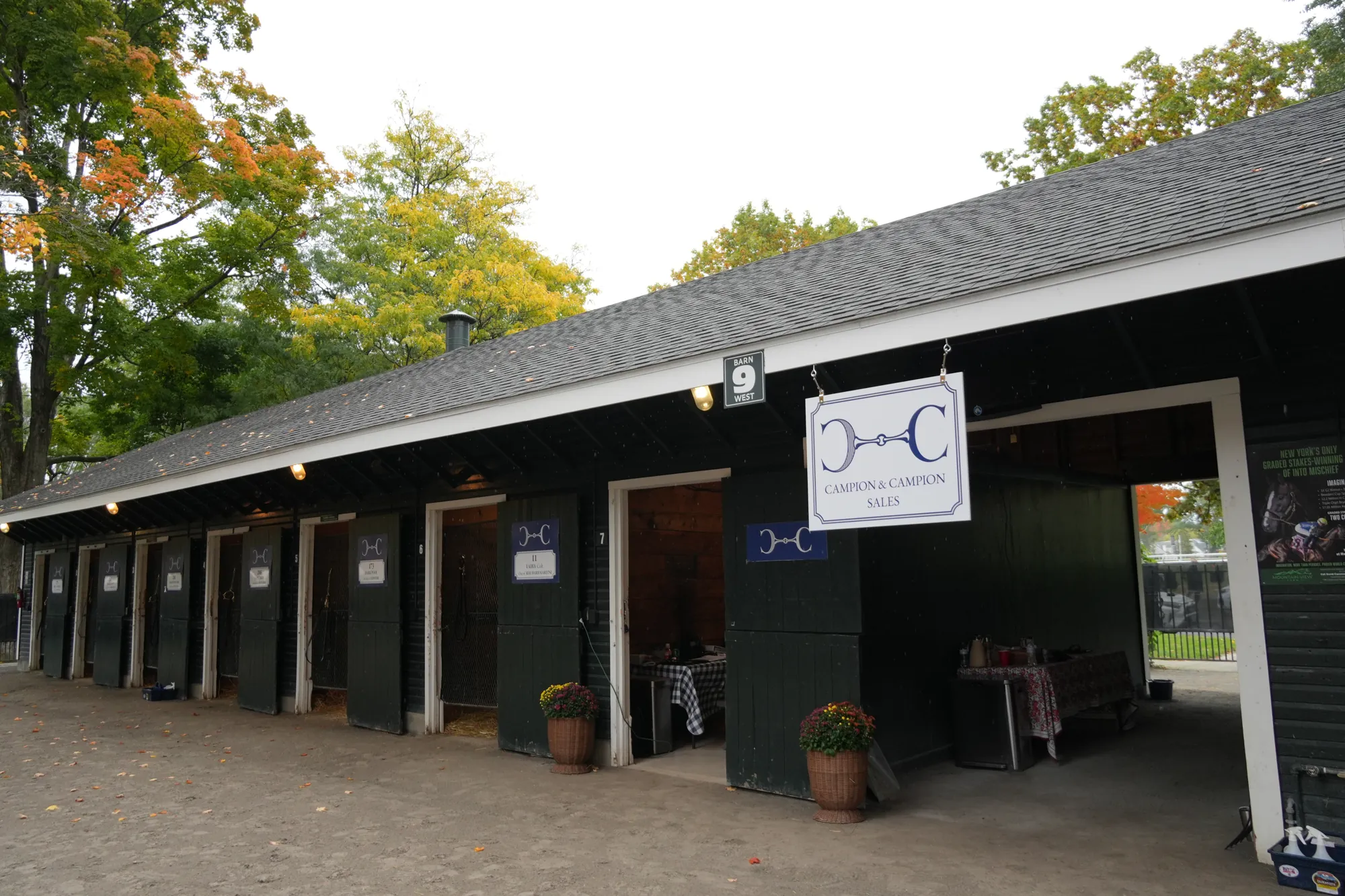 The Campion & Campion shedrow at Saratoga in autumn